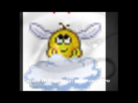 Cazare Grabicina de Sus, Buzau - Cazat.ro