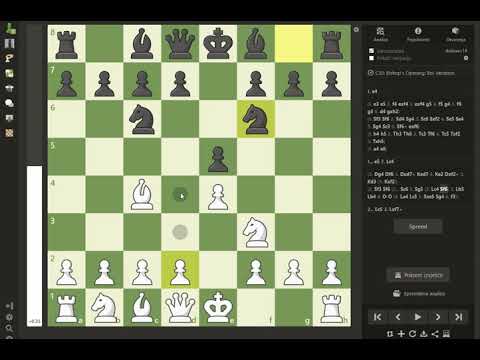 Ciljevi otvaranja u šahu