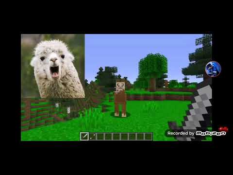 Guardo kendal e bellafaccia