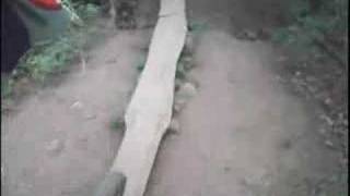 Twisted Mounty Fall From Paradise