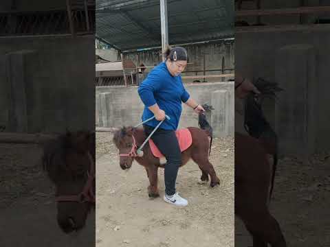 Horseback riding🌲🍁🐤
