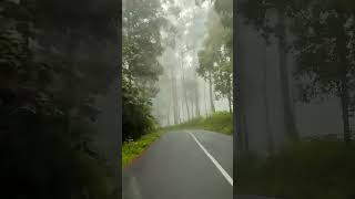 Download lagu Kabut pagi yang indah#viral mp3