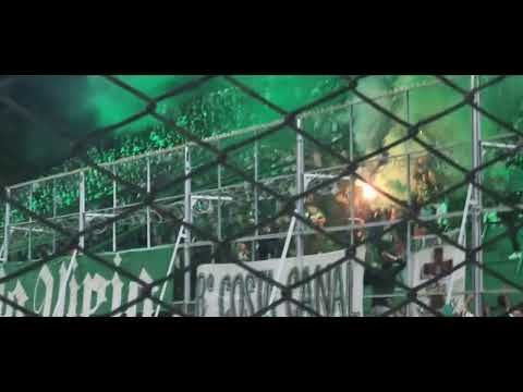 VERDE MI BUEN AMIGO + PARA SER CAMPEON HOY HAY QUE GANAR