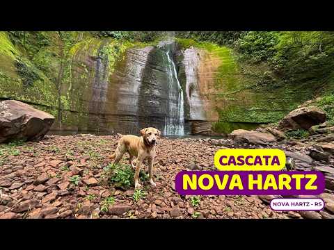 DESAFIADORA a Cascata Nova Hartz | English sutitles