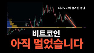 비트코인 차트듀오