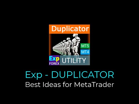 Video Exp4 Duplicator