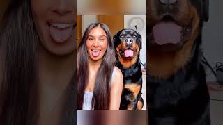 When dogs imitate human behavior.. #dog #dogvideos #doglove #bestfriend #animals #cute #animalshorts