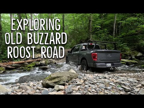 🚙 Offroading Old Buzzard Roost Road | F-150 Adventure to an Breathtaking Appalachian Overlook