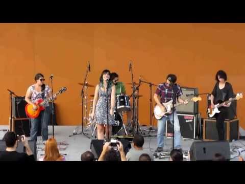 Pousatigres - Caminhos Tortos