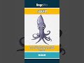 squid (noun) - definition and usage in English