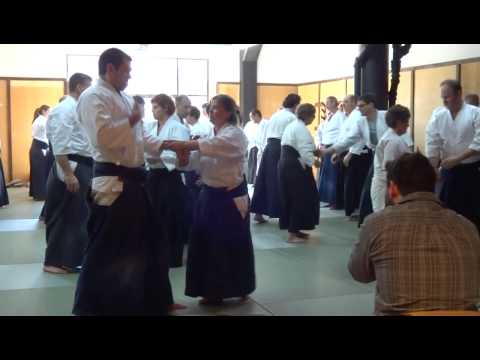 Hiroshi Ikeda Shihan Seminar Feb 22-24, 2013