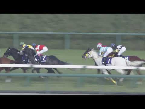 2019 Takamatsunomiya Kinen (G1)