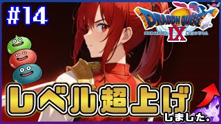 #14【ドラクエ９】ツォの浜とオリガ(が)《ボクたちはアユルダーマのマンドリルと呼ばれた。》🦧※内容にネタバレ含みます【ドラゴンクエストⅨ星空の守り人】【ドラゴンクエスト】【ドラクエ】【DQ9】