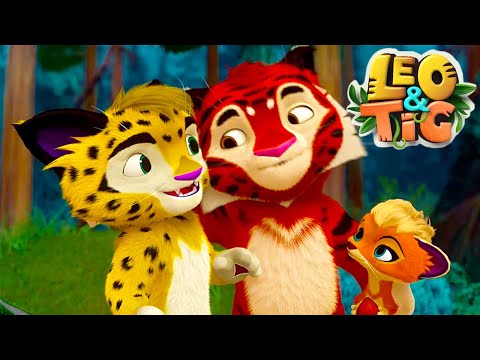 Leo and Tig ???? All episodes in row ???? Funny Family Good Animated Cartoon for Kids