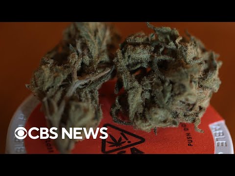 DOJ move to reclassify marijuana won't legalize it for recreational use