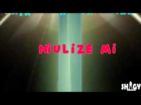 Ngwair_Sikiliza_ft_Mwana_FA_&_Lady jay dee_(Lyrics Video)