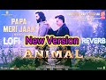 ANIMAL Papa Meri Jaan Ranbir Kapoor Anil K Rashmika M Tseries UPMSTUDIO