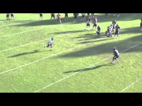 Daniel Adler Highlights