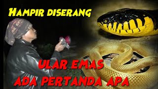 Download lagu DIHADANG ULAR EMAS EXPLOR KUBURAN DUNGWARU JATIBUNGKUS mp3