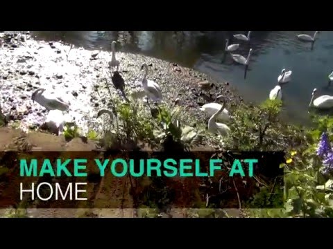 Drumming at home with Tom Morley