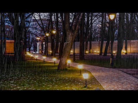 Schlafen sie sofort mit regen & Gewittergeräusche die den hinterhof garten nachts bedecken