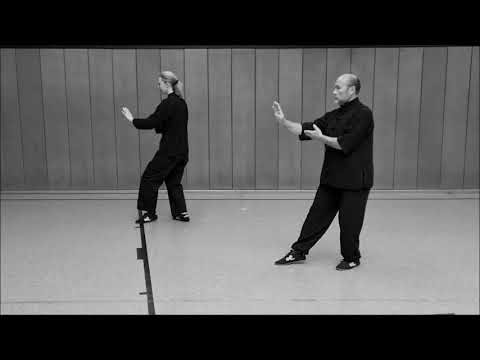 24er Pekingform gespiegelt | Tai Chi 24 form mirrored