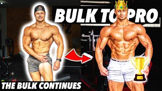 THE BULK CONTINUES!! | Bulk to Pro | Shoulder & Tricep Workout