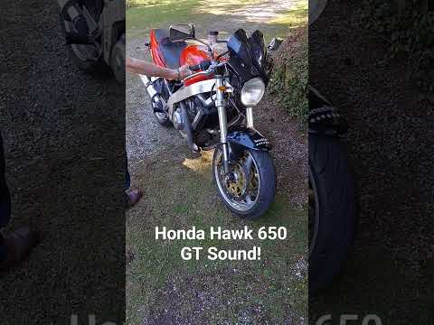 Honda Hawk GT 650 sound #hondamotorcycles #hondahawk #hondahawkgt #hawk650 #motorcycleshorts