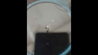 자동차유리복원(shorts)