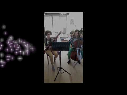 Vidéo - Du rire aux larmes - duo violoncelle et basson