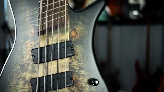 Video thumbnail for MONSTER Tones from the Spector NS Dimension 5 by The Bass Channel