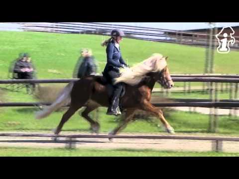 FIZO Kronshof - 22.04.2013 - www.isibless.de