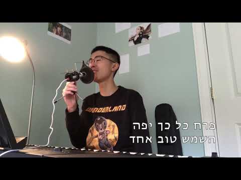 熊出没之探险日记片尾曲《森林时光》希伯来语翻唱 הזמן טוב אחד