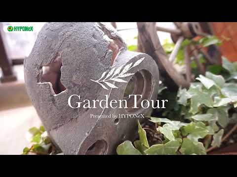 ペットのための安全なローリングバルコニーレイアウト