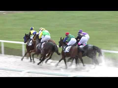 2020.10.18. 05. futam - TÁPIÓSZENTMÁRTONI HENDIKEP (V.o.) (szintetikus pálya)