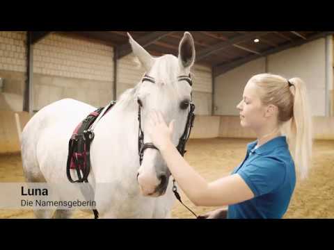 Luna Longe - Avarela Reitsport GmbH