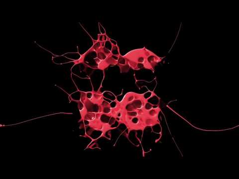 Khaled Hussein & Yassin Feat. Nile - Lose Control (Club Mix)