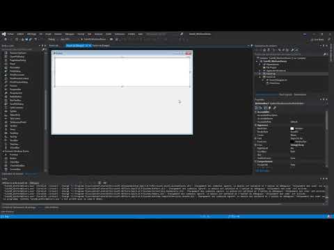 1 Visual Basic L IDE