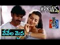 Badri Whatsapp Status Pawan Kalyan Whatsapp Status Vevela Mainala Ganam Lyrics PKWS