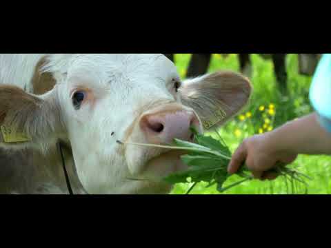 Tourenbericht - Am Grat entlang - die Hörnertour im Sommer