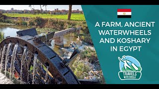 preview picture of video 'A Farm, Ancient Waterwheels and Koshary in Egypt'