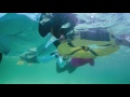 We Make Waves Unleashing The Power Of Girls