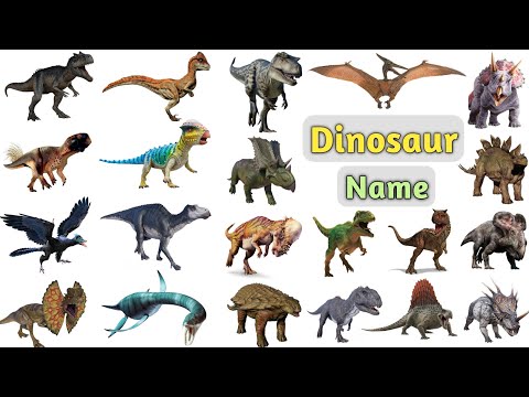 Dinosaurs Vocabulary ll 75 Dinosaurs Name in English With Pictures ll Jurassic World Dinosaur Name