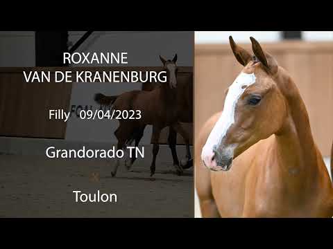 Roxanne van de Kranenburg (Grandorado TN x Toulon)