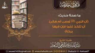 ما صحة حديث (أن النبي ﷺ أوصى أم هانئ أن تتخذ غنما فإن فيها بركة) image