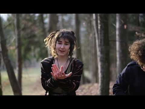 Samenkörner - Dornenrosen