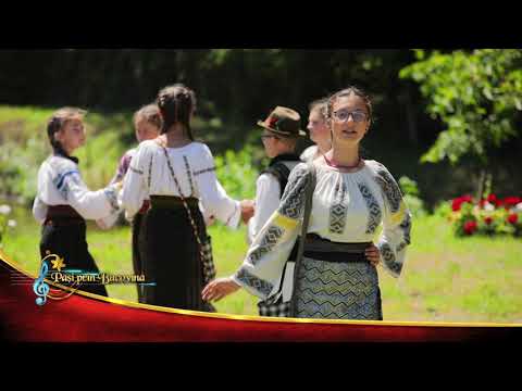 Cosmina Mihaela Tudosă