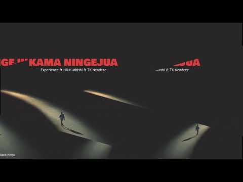 Experience - Kama Ningejua ft Nikki Mbishi & TK Nendeze
