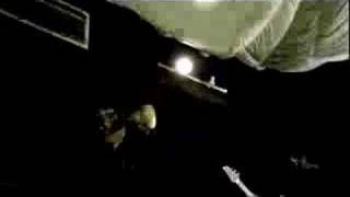 Calico System - They Live