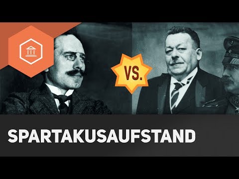 Der Spartakusaufstand und Fazit der Novemberrevolution - Der Beginn der Weimarer Republik
